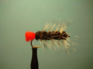 Black Woolly Worm (10)